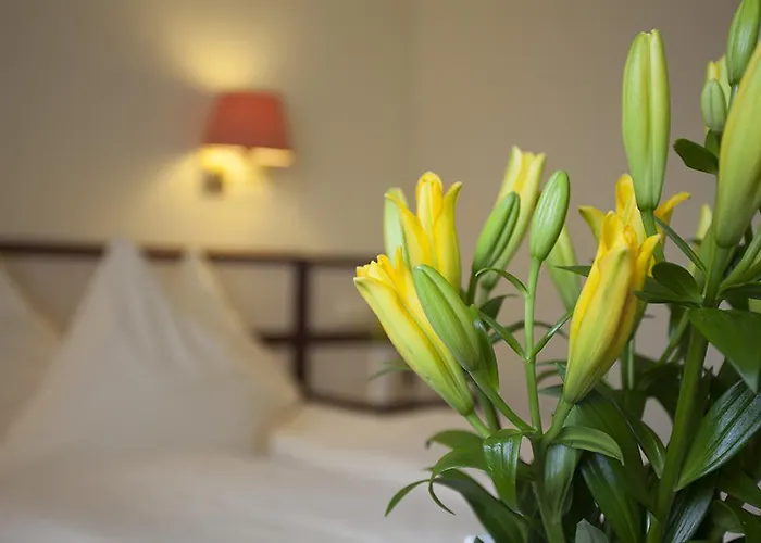 Haus Union 3* Oberhausen (North Rhine-Westphalia)